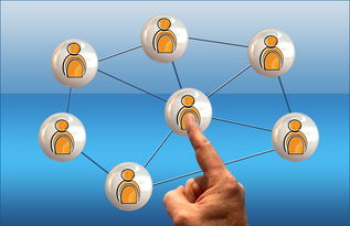 爱游戏体育娱乐-中小学篮球课程内容不断丰富提升学生篮球综合素养，中小学篮球教学方法